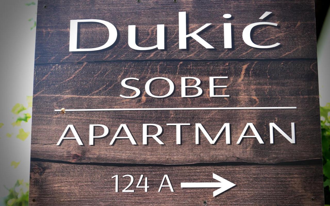 Guest House Family Dukic Rakovica Eksteriør billede